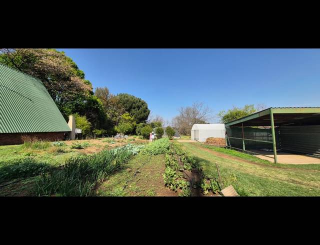 20,234M² SMALLHOLDING FOR SALE IN RYNFIELD AH
